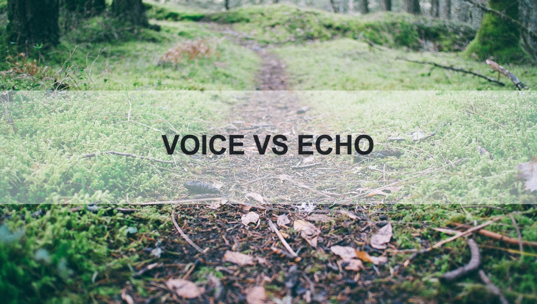 VoiceVSEcho